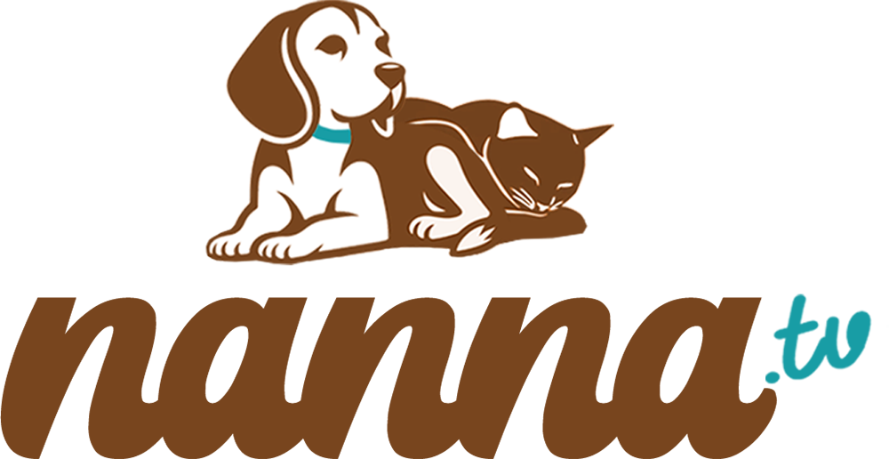 Nanna.tv